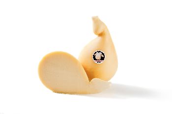 miniatura1