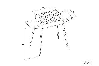 miniatura5